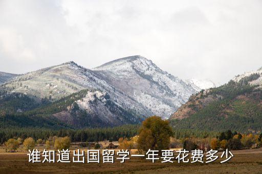 在国外留学需要多少钱一年，出国留学 一年花费多少