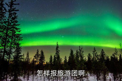 怎样报旅游团啊