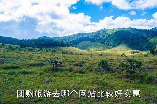旅游跟团哪个平台好，跟团游参考哪个旅游网站比较好