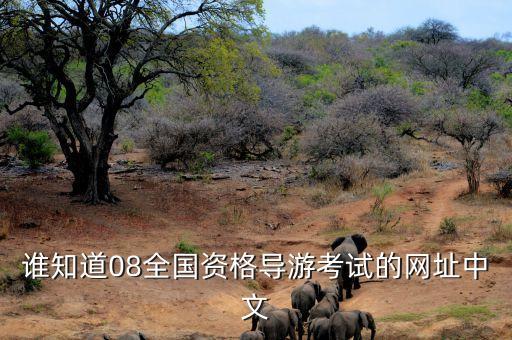谁知道08全国资格导游考试的网址中文