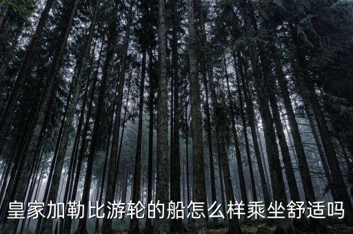 皇家加勒比游轮，皇家加勒比游轮到底好不好玩呢