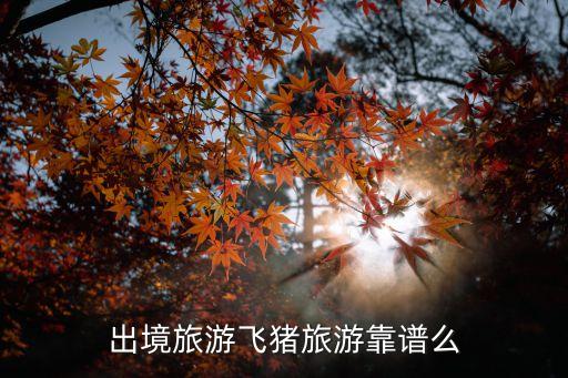 飞猪旅游好不好，飞猪旅行买车票靠谱吗