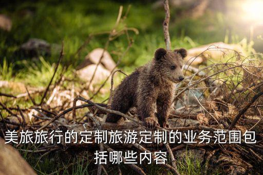 旅游定制，美旅旅行的定制旅游定制的业务范围包括哪些内容