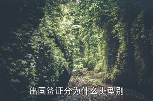 出国签证分为什么类型别