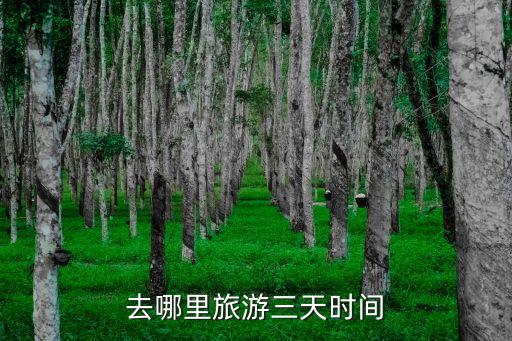 三天小长假旅游，三天小长假去哪玩好呢
