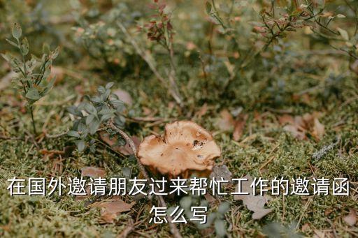 去国外工作邀请函，在国外邀请朋友过来帮忙工作的邀请函怎么写