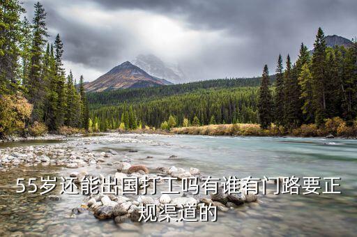 55岁还能出国打工吗有谁有门路要正规渠道的