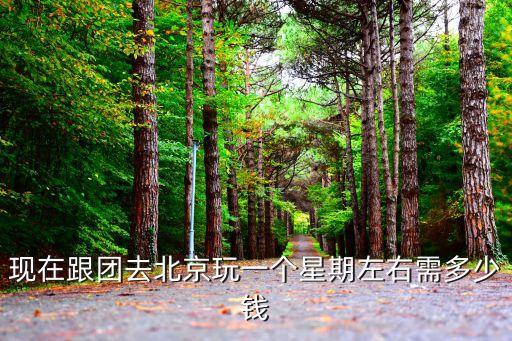 去北京玩跟团多少钱，请问下去北京跟团好多钱呢