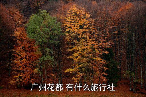 花都旅行社电话号码，广州花都 有什么旅行社