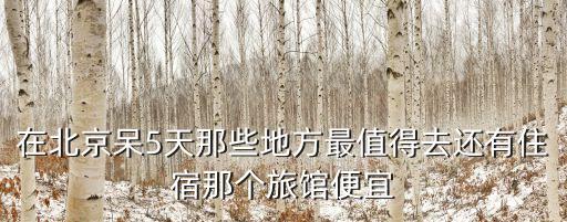 北京旅游攻略5日游住宿，两大两小住北京旅游五天哪种住宿最合适