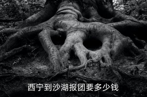 西宁到沙湖报团要多少钱