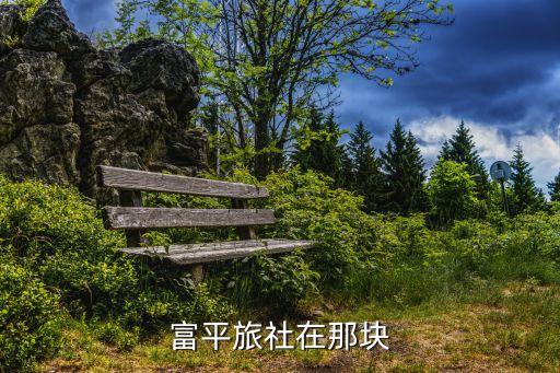 南阳旅行社电话号码，南阳有去莲花温泉的旅游团吗电话多少如果没的话我想组个团