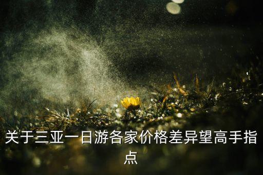 关于三亚一日游各家价格差异望高手指点