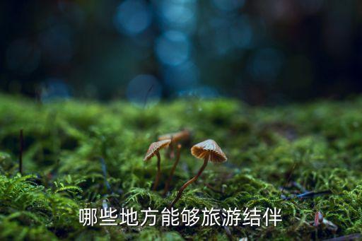 哪些地方能够旅游结伴