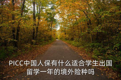 PICC中国人保有什么适合学生出国留学一年的境外险种吗