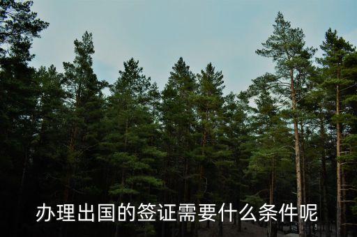 办理出国的签证需要什么条件呢