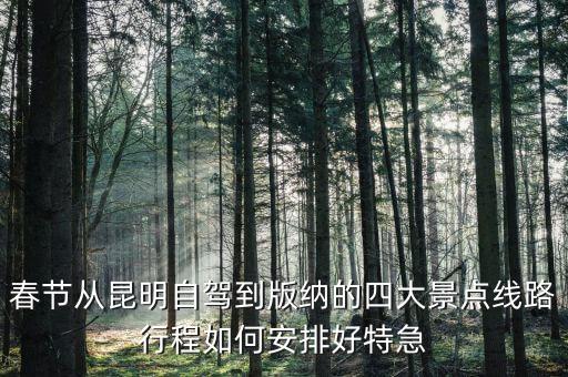 春节从昆明自驾到版纳的四大景点线路行程如何安排好特急