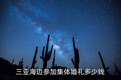 三亚海边参加集体婚礼多少钱