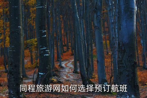 下载同程旅行官方app，同程旅游网如何选择预订航班