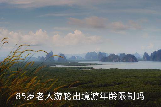 85岁老人游轮出境游年龄限制吗
