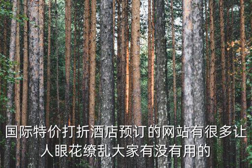国际特价打折酒店预订的网站有很多让人眼花缭乱大家有没有用的