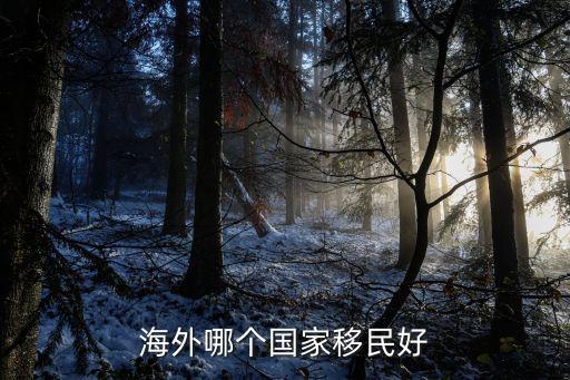 海外哪个国家移民好