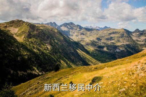 新西兰中介，新西兰移民中介