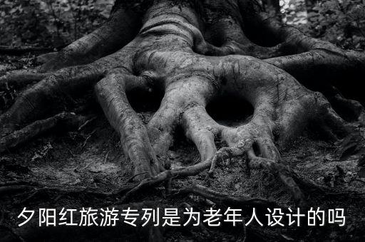 夕阳红旅游专列是为老年人设计的吗