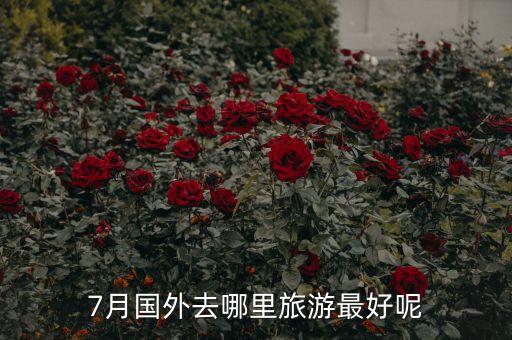 7月国外去哪里旅游最好呢