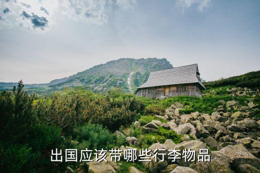 出国应该带哪些行李物品