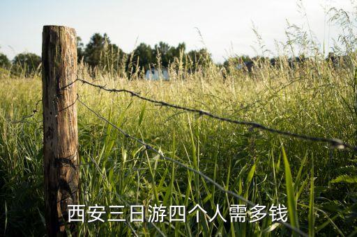 西安三日游四个人需多钱