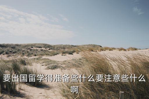 要出国留学得准备些什么要注意些什么啊