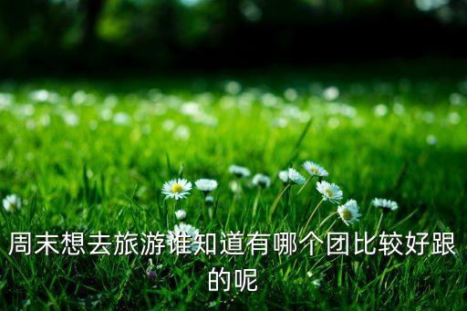 旅游报哪个团比较好，周末想去旅游谁知道有哪个团比较好跟的呢