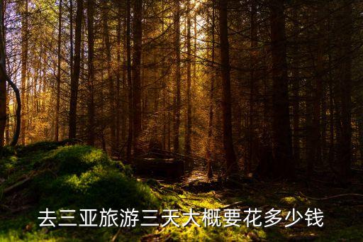 去三亚旅游三天大概要花多少钱