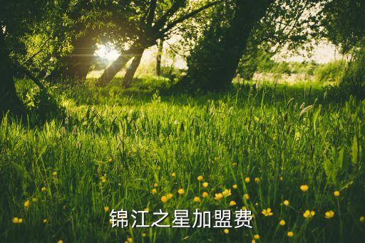 锦江之星加盟费