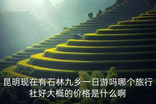 一日游旅游团报价，塘沽到北京欢乐谷一日游的价钱跟团多少钱自费多少钱