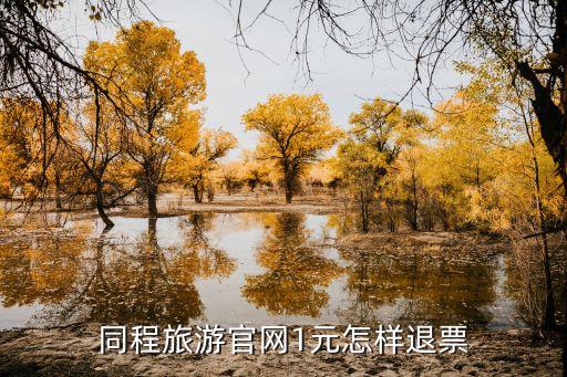 同程旅游官网1元怎样退票