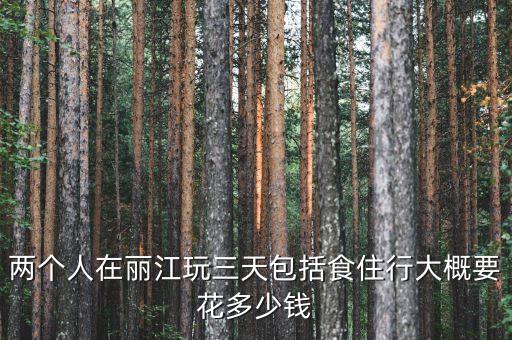 两个人在丽江玩三天包括食住行大概要花多少钱