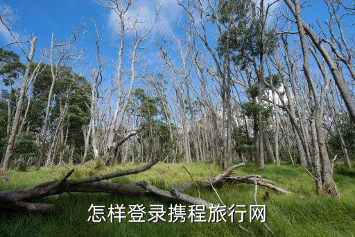 怎样登录携程旅行网