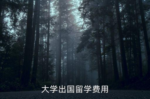出国留学每年费用，大学出国留学费用