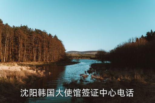沈阳出国签证服务中心电话，沈阳韩国大使馆签证中心电话