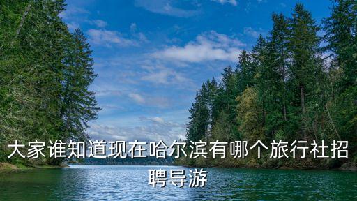 中国国旅官方网站招聘，大家谁知道现在哈尔滨有哪个旅行社招聘导游