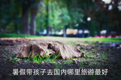 暑假带孩子去国内哪里旅游最好