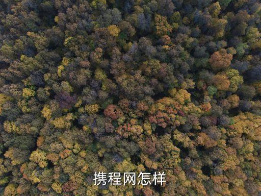 携程官网旅游平台，怎样登录携程旅行网