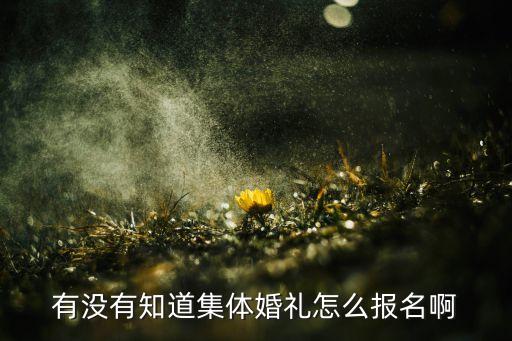 有没有知道集体婚礼怎么报名啊
