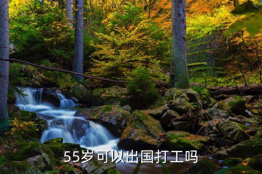 55岁可以出国打工吗