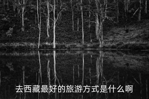 去西藏最好的旅游方式是什么啊
