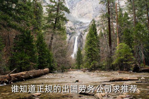 那家出国劳务可靠，哪些出国劳务中介公司比较好