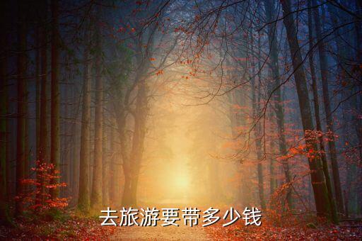 旅游一般带多少钱，我要去旅游可带多少钱合适呢
