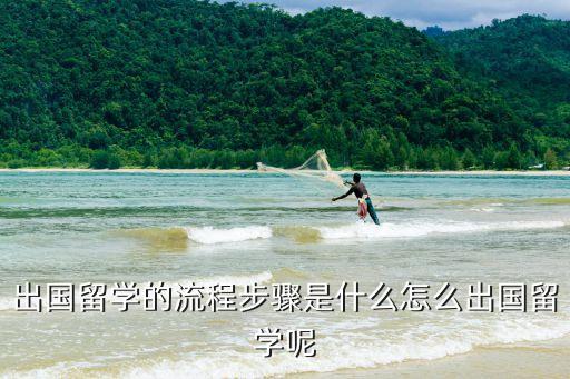 出国留学流程全攻略，出国留学的申请流程有哪些